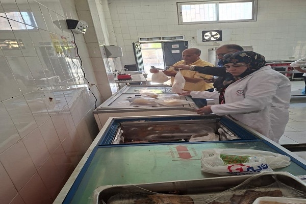 ضبط (2 طن و 400 كجم ) لحوم و دواجن مجمدة مخالفة بالشرقية