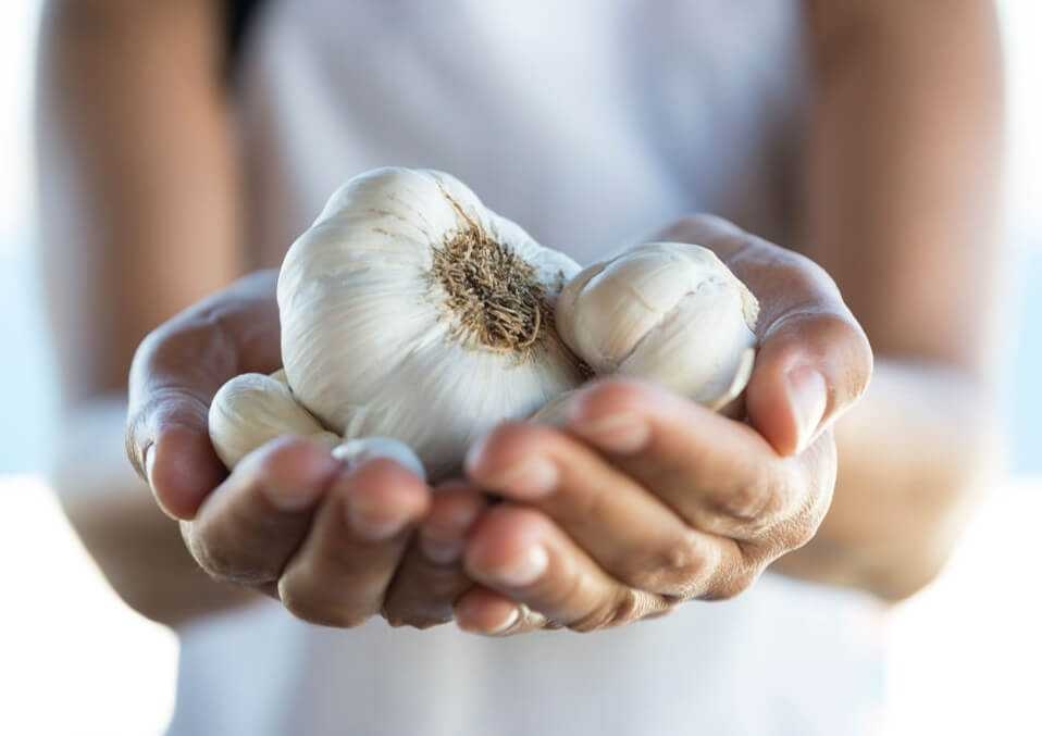 الثوم على الريق.. درع طبيعي لصحتك