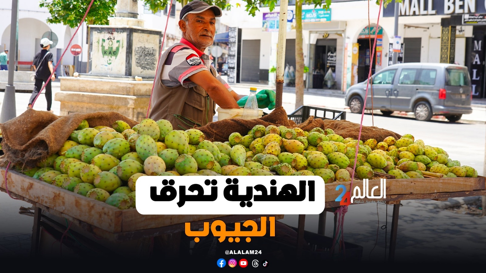 فاكهة الفقراء تغادر الموائد.. ثمن الحبة الواحدة من الهندية يتجاوز 7 دراهم
