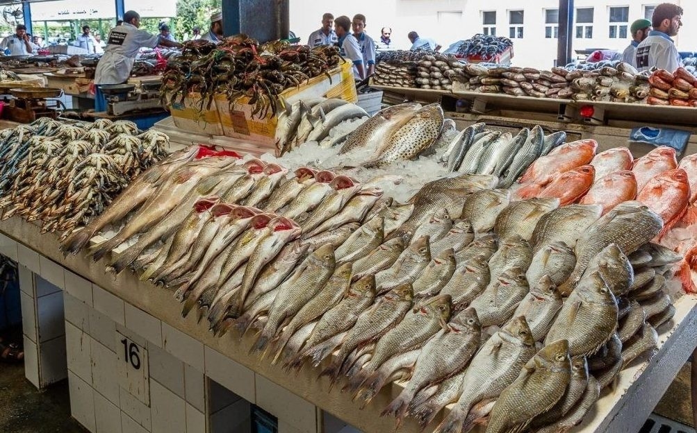 أسعار الأسماك في سوق العبور اليوم الاثنين 21-7-2025