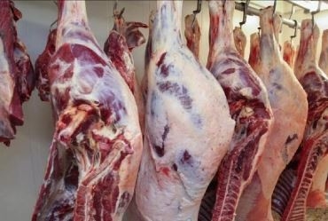 استقرار أسعار اللحوم في المنافذ والأسواق اليوم السبت