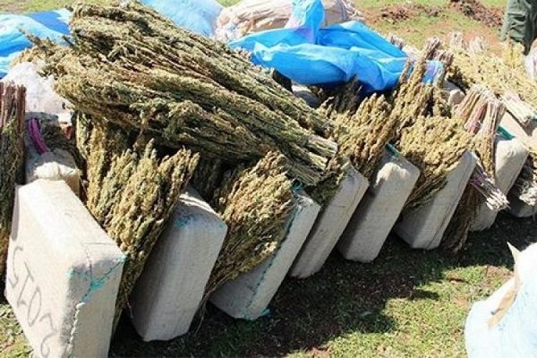إقليم قلعة السراغنة: إحباط عملية تهريب كبيرة للمخدرات قرب فريطة