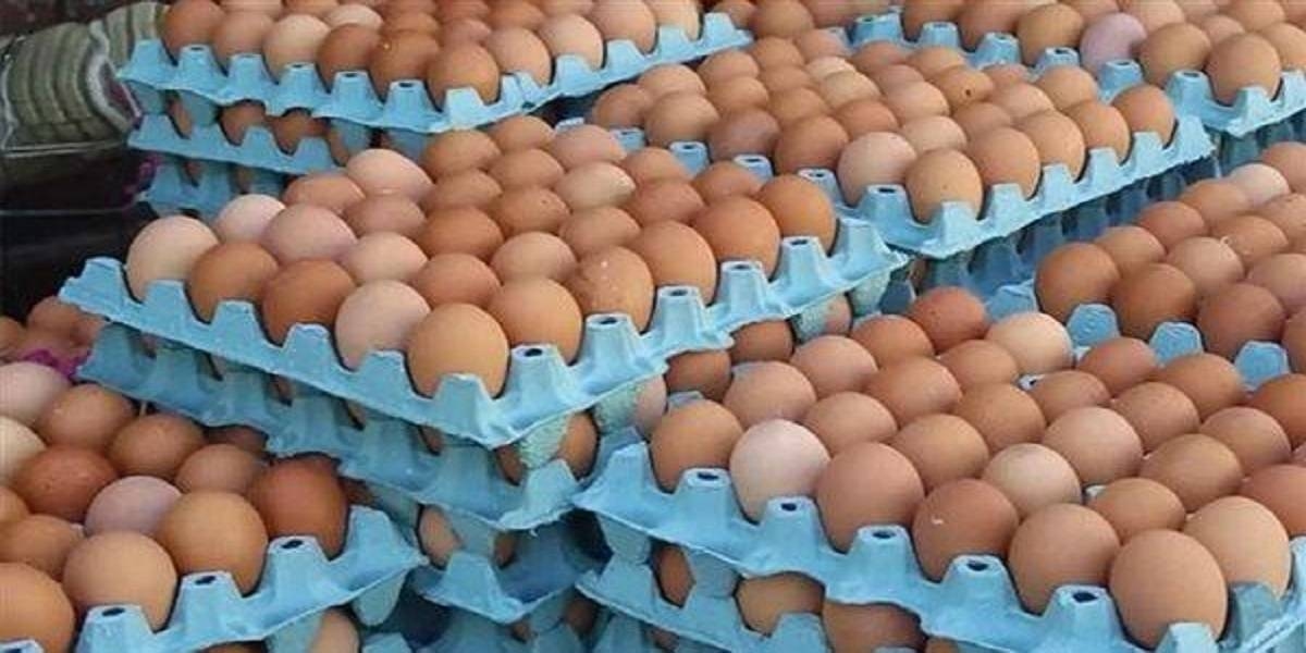 أسعار البيض تشعل غضب المغاربة