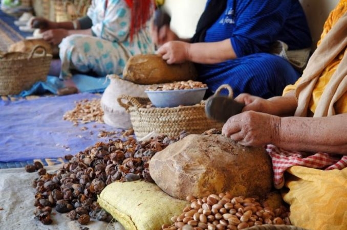 دعم أزيد من 130 تعاونية في الصويرة بما يفوق 64 مليون درهم منذ 2005
