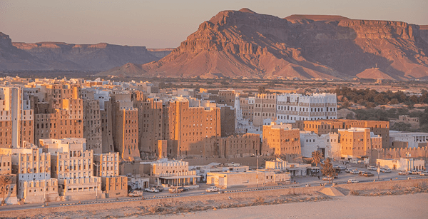 FM stresses Egypt's firm support for Yemen's legitimate government