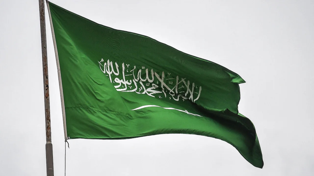 Egypt, Saudi Arabia FMs praise strong bilateral ties