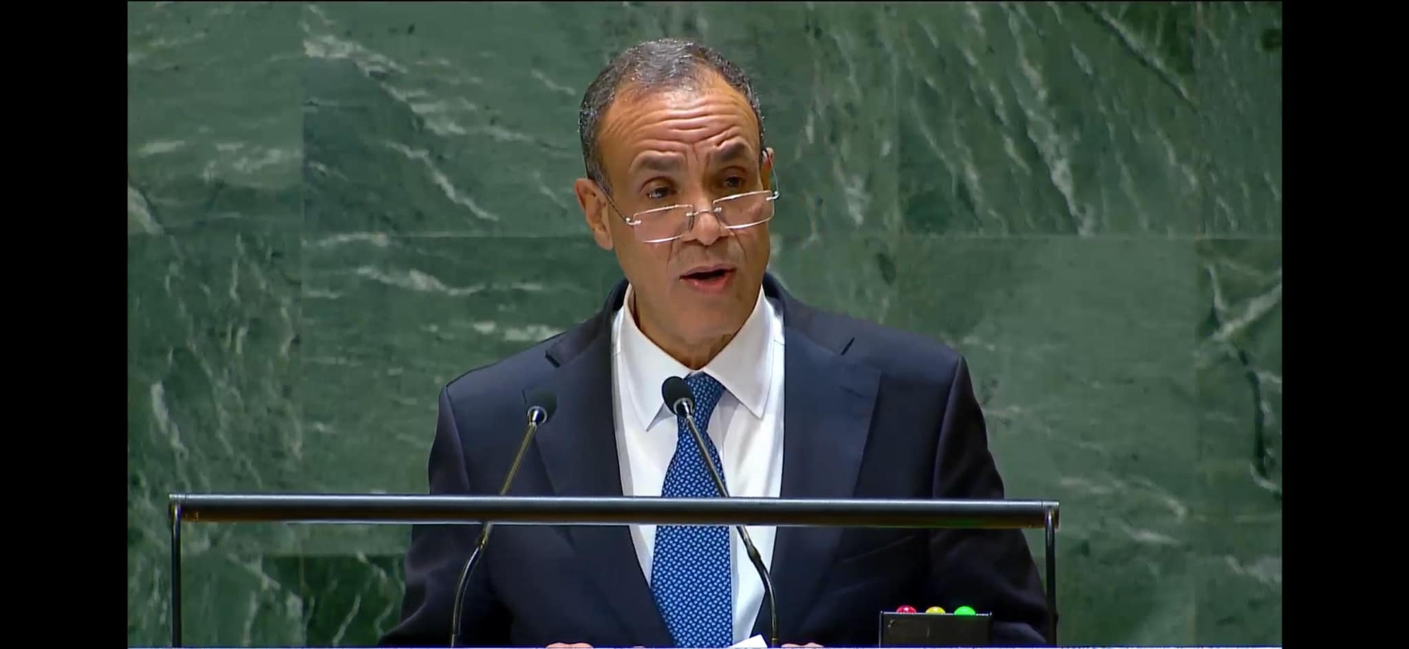 FM: Foreign ministry is 1st line of defense for Egyptian national interests abroad