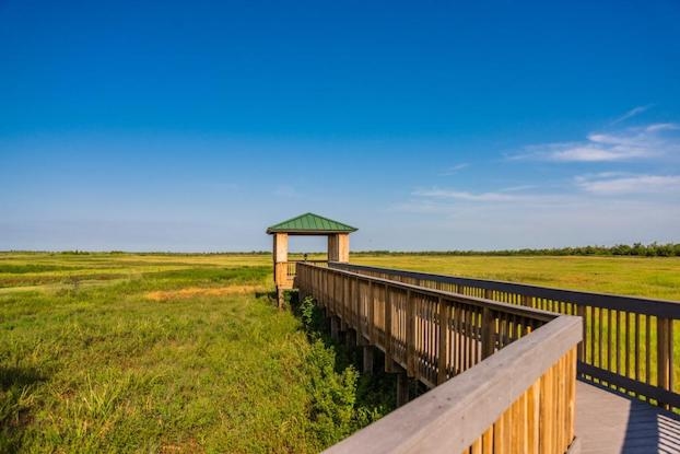 Louisiana's Outback: The Creole Nature Trail puts SW La.'s treasures on display