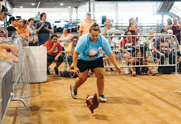 It's OK to be chicken — in fact, family-friendly Chicken Fest encourages it