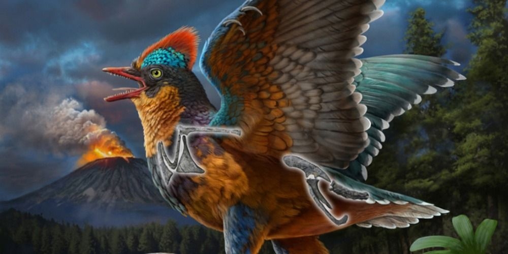 Study says new Jurassic bird fossil is 'missing link'