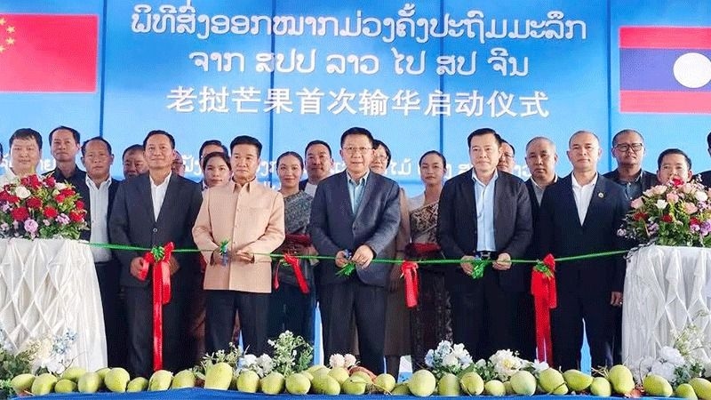 First mango shipment from Laos to China signals agricultural trade era