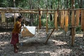 Myanmar aims to export over 350,000 tonnes of rubber in FY 2025-26