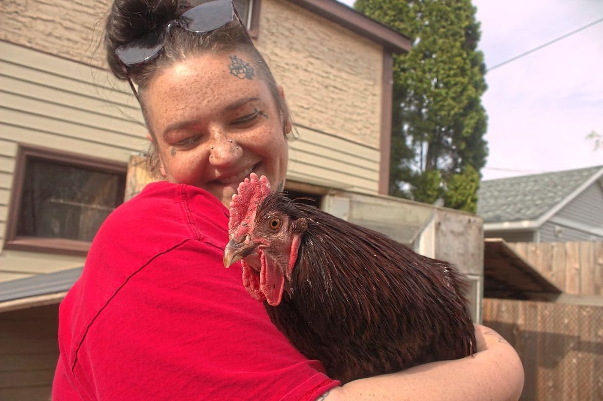 'Chicken lady' in US fights for the fowls at her rehabcentre for chickens