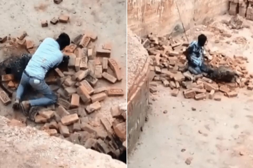 Labourer in India fights off leopard attack in Gladiator style with bare hands
