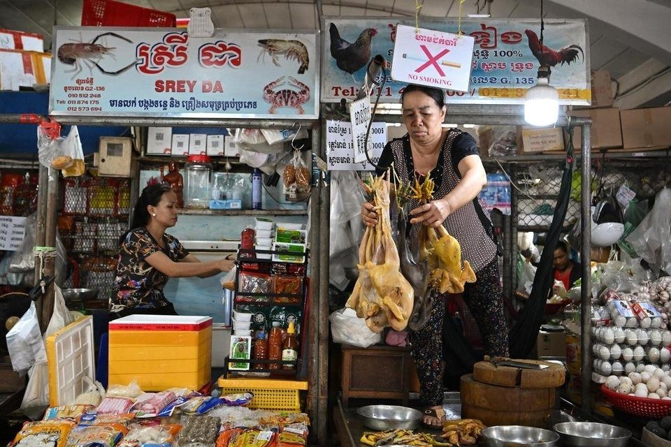 Thailand steps up monitoring at Cambodian border amid rise in bird flu cases
