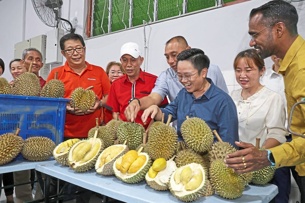 Dearer durians due to unfavourable weather, smaller harvest