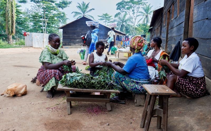 Exclusive-USAID cancelled rape survivor kits for Congo as conflict erupted