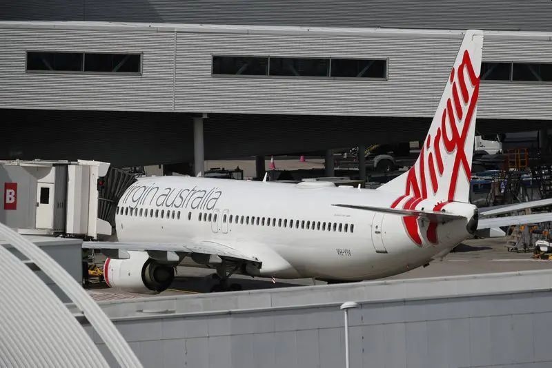 Snake on a plane delays a flight in Australia