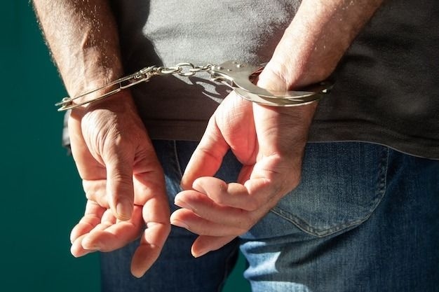 Married couple arrested for prostitution and distribution of pornographic videos