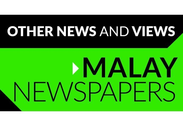 Sun bear spotted in Kemaman village stirs fear