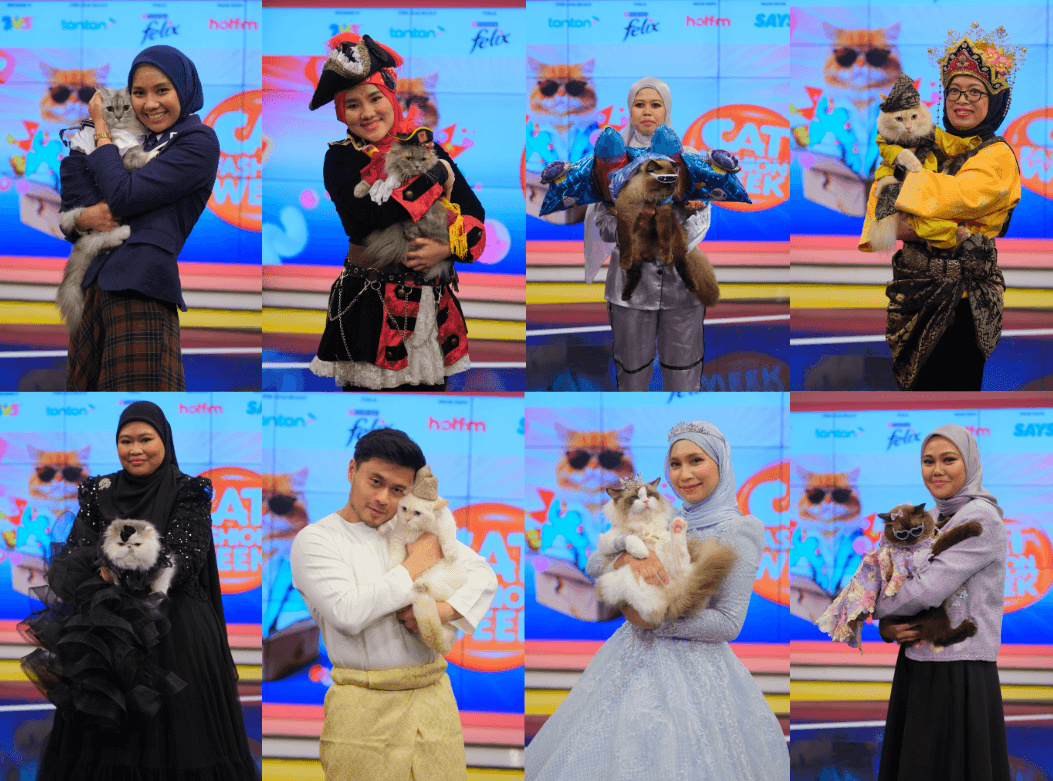 Our Malaysian cats are roaring ... The top eight finalists for Cat Fashion Week have been finalised
