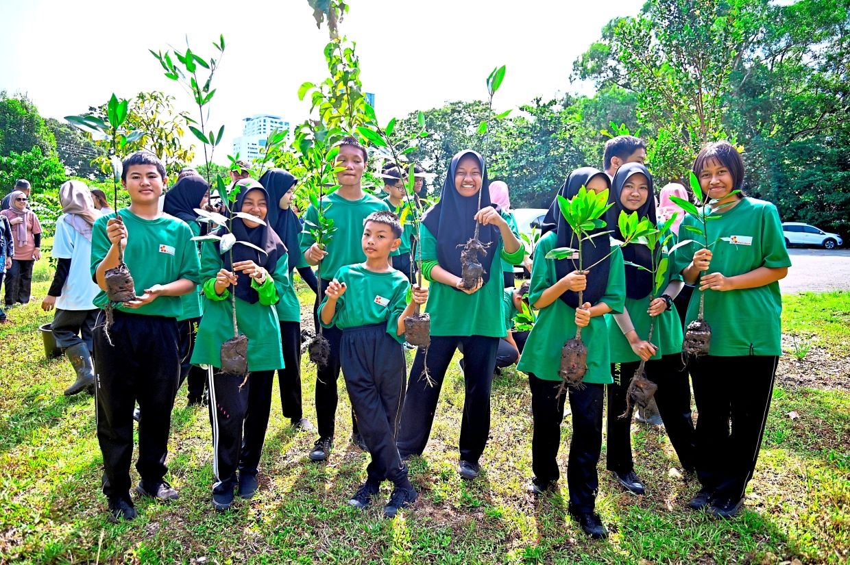 Saving mangroves with the power of youth