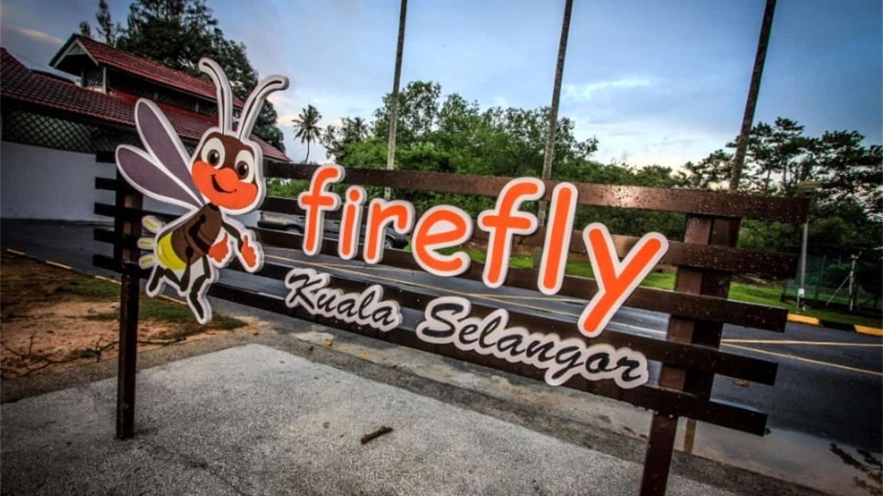 Sparkling bright future for fireflies in Malaysia