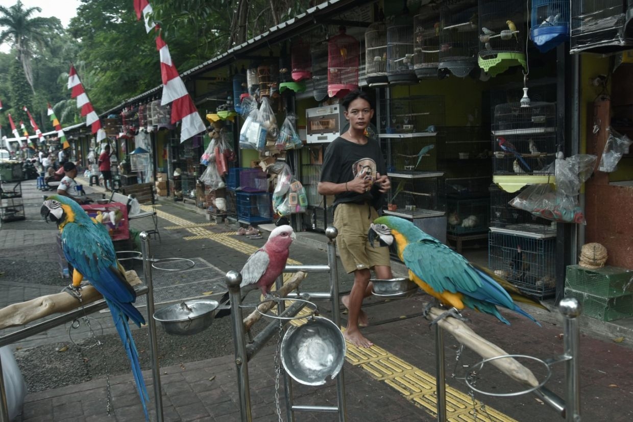 Jakarta's Asean Park plan faces pushback over Barito Market relocation