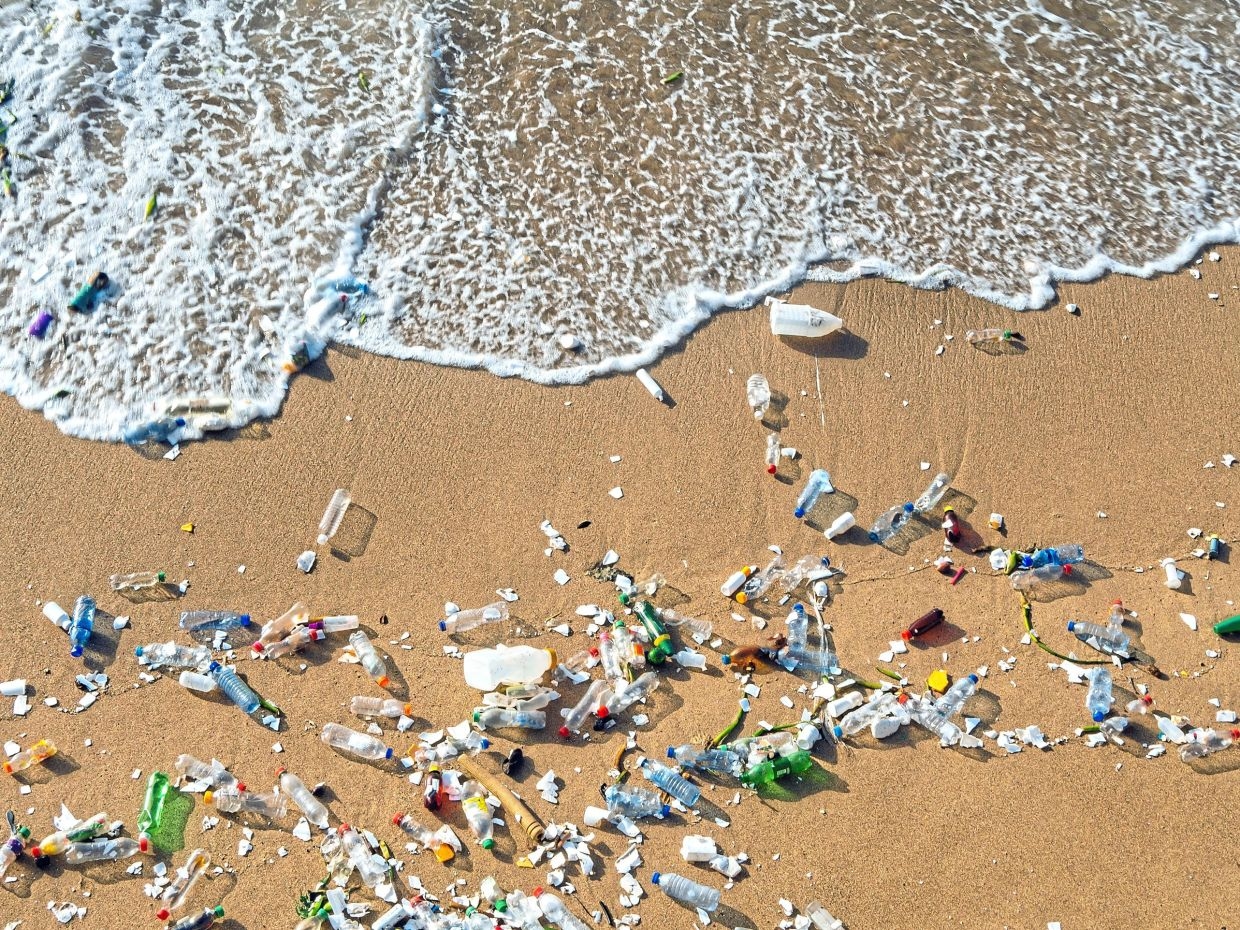 Plastic that dissolves in seawater developed by Japanese scientists