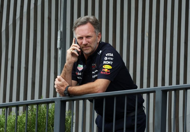 Motor racing-Red Bull sack team principal Horner
