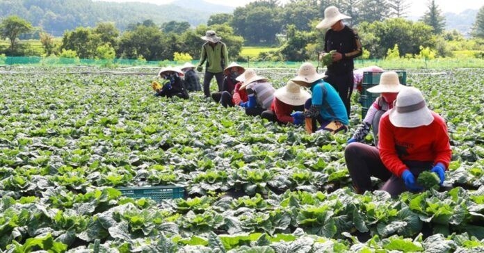 Laos expands seasonal workers dispatch to South Korea