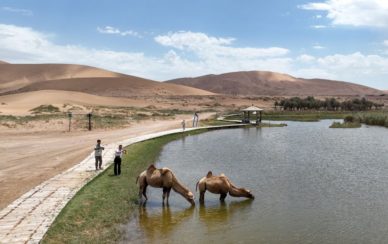 China's ‘green great wall' in Inner Mongolia traps three more deserts