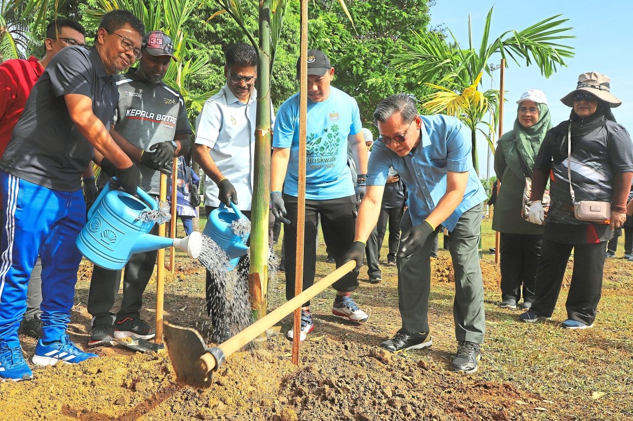 Penang embraces pinang revival to reclaim heritage