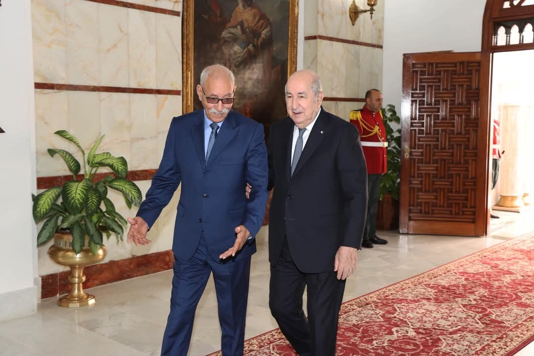 بعد صفعة زوما.. الجزائر تنظم مسرحية لدعم "البوليساريو" بجنوب إفريقيا للتغطية على عزلتها