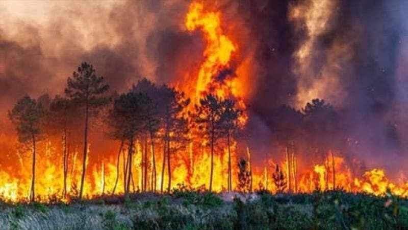 فرنسا.. الحرائق تغلق مطار مارسيليا والسلطات تجلي المئات من السكان