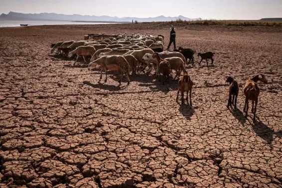Morocco faces extreme water scarcity by 2050 warns UN report