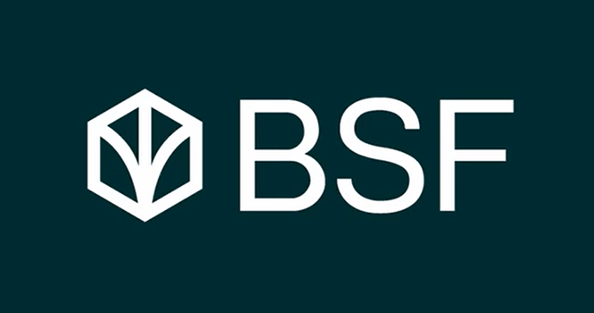 BSF taps Asian banks for $750M loan: Report