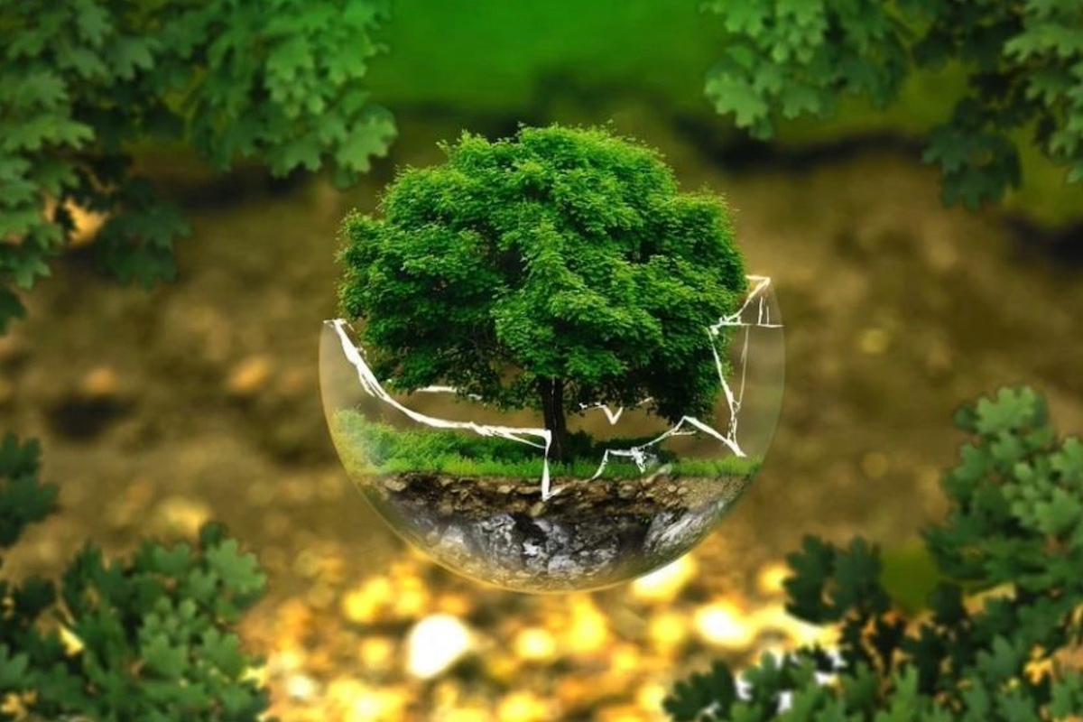 Cosmetic sustainability: how to look green without changing a thing