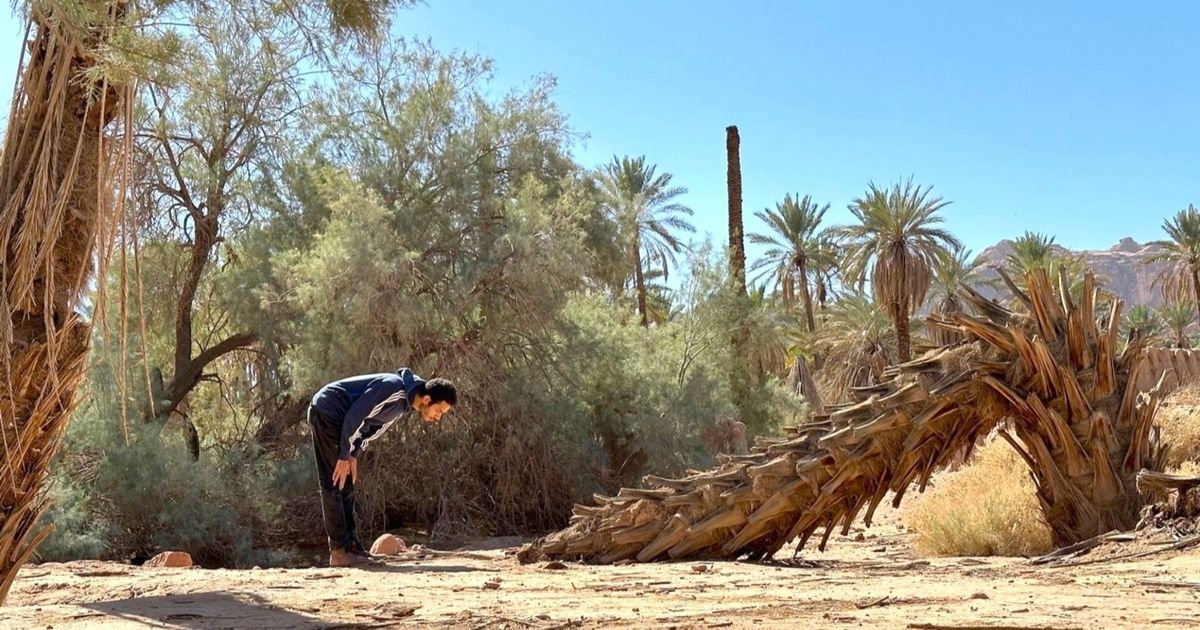 "البحار عذبة دموع السمك مالحة".. أعمال تحاكي بيئة الأحساء