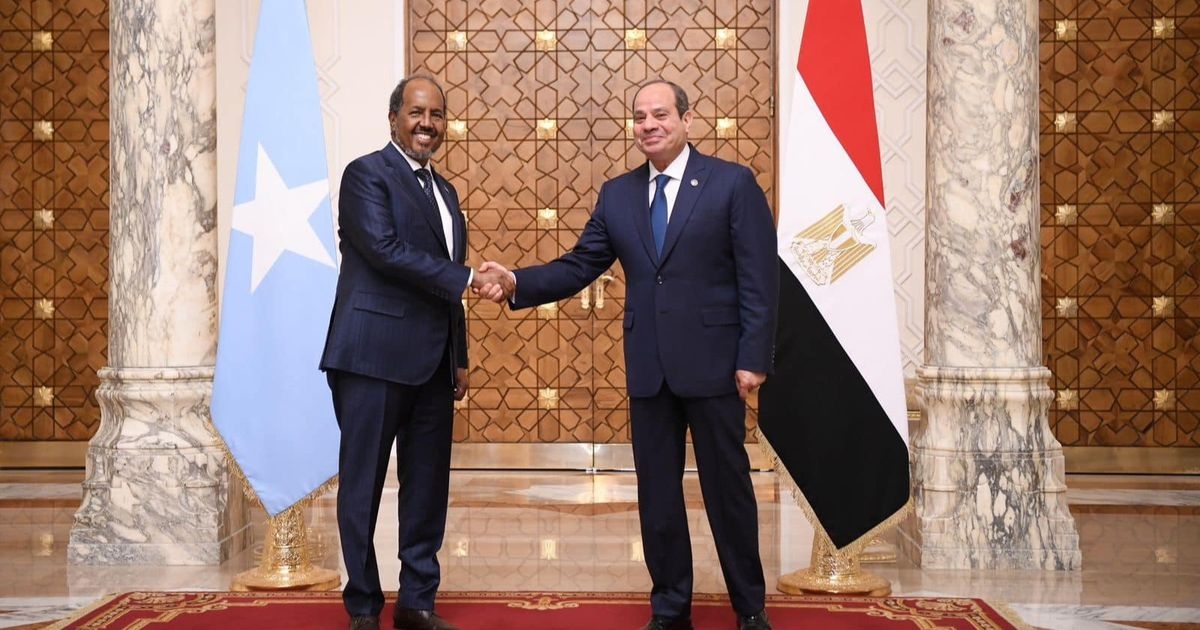 السيسي يبحث مع رئيس الصومال أوضاع القرن الإفريقي وأمن البحر الأحمر