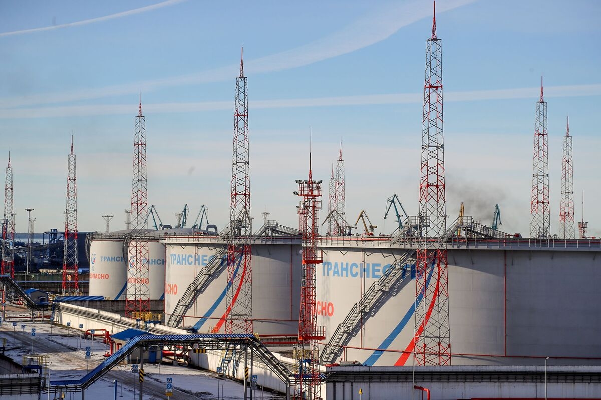 Russia Reports Ammonia Leak at Leningrad's Ust-Luga Seaport