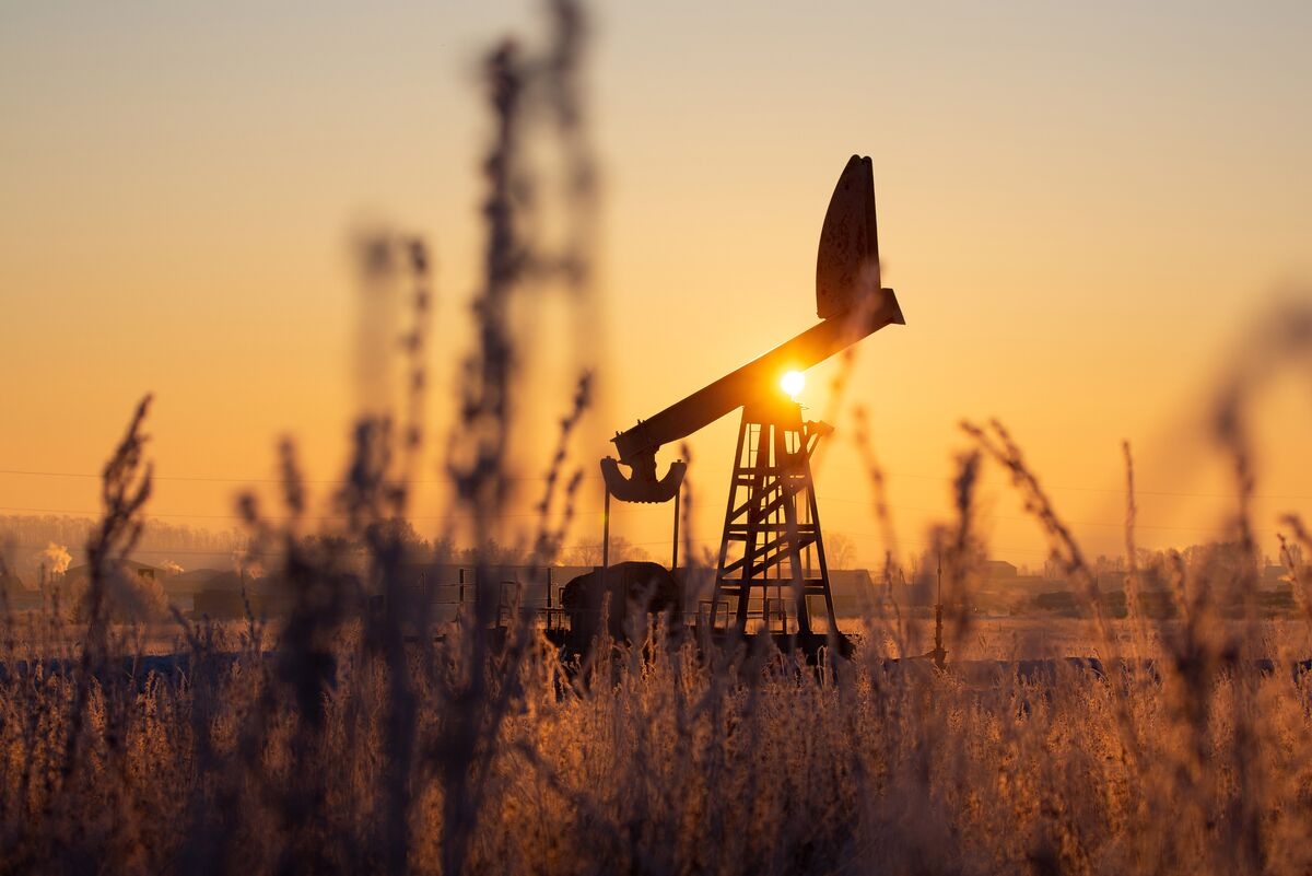 Oil Steadies as Traders Focus on US Tariffs, Red Sea Attacks