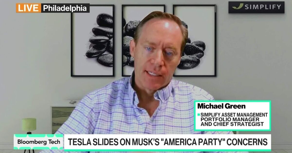 Musk Alienated Both Dems and GOP, Simplify's Green Says