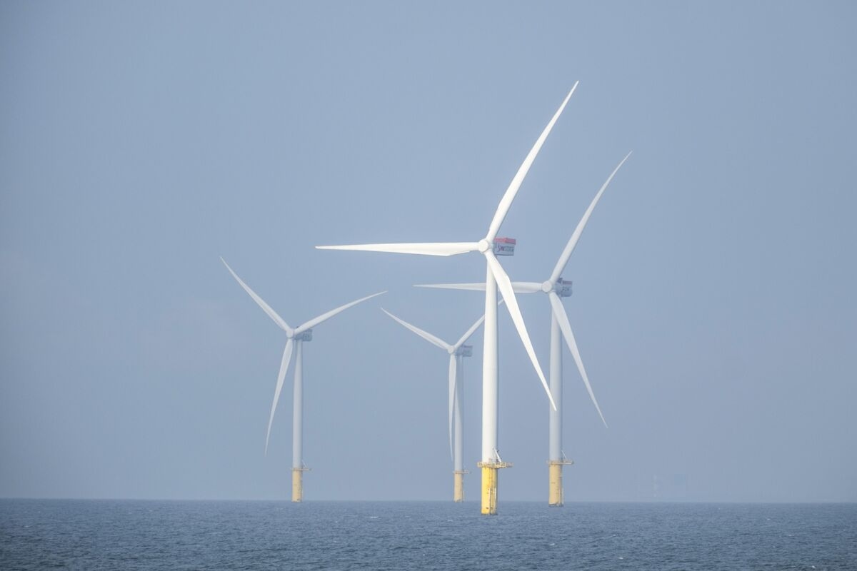 Meet the Climate Leaders Working to Cut Emissions