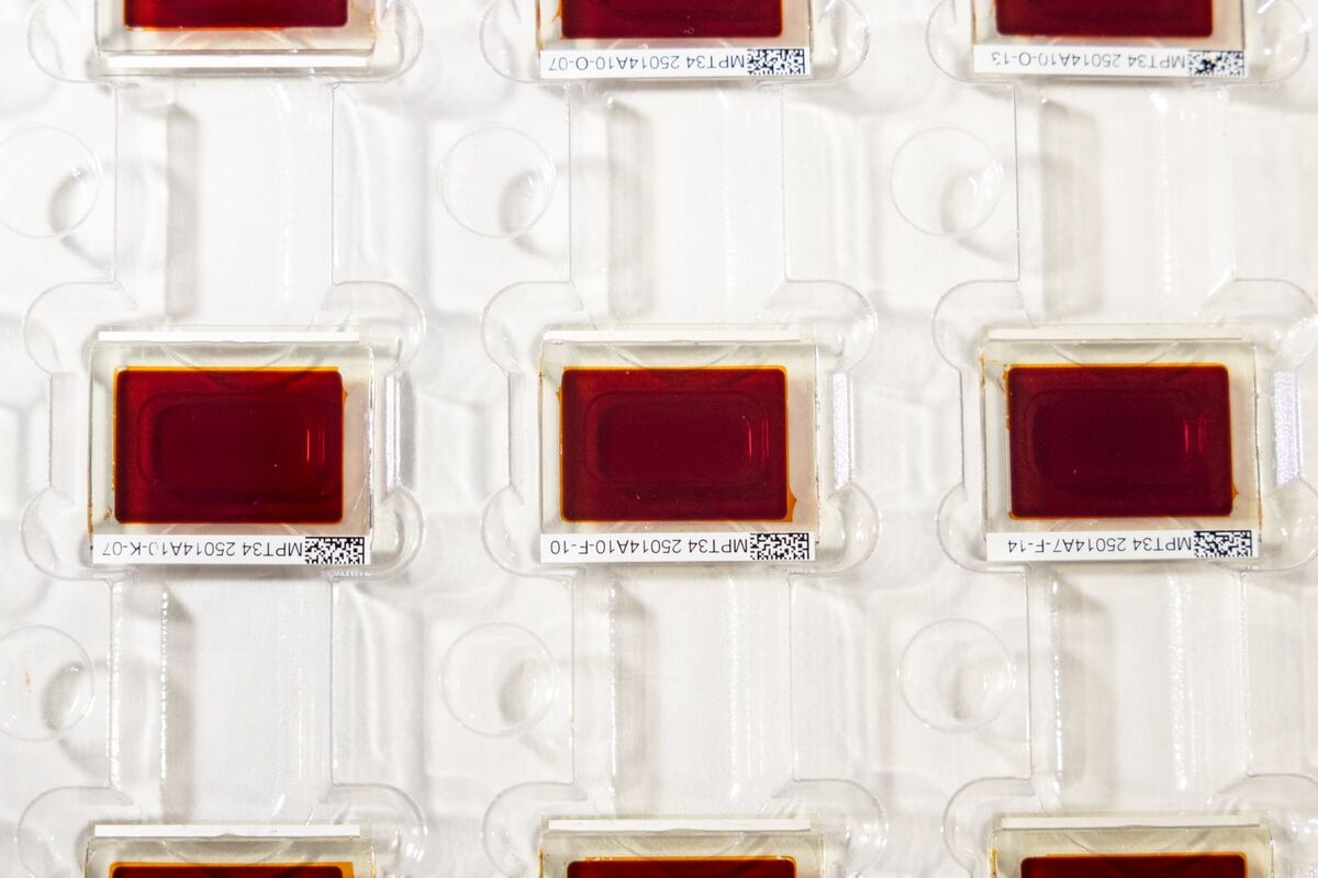 How Solar Cells Could End Up in More Everyday Items