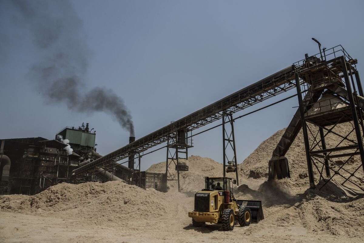 Brazil Revs Up Biofuels Just as Sugar Cane Mills Shift From Ethanol