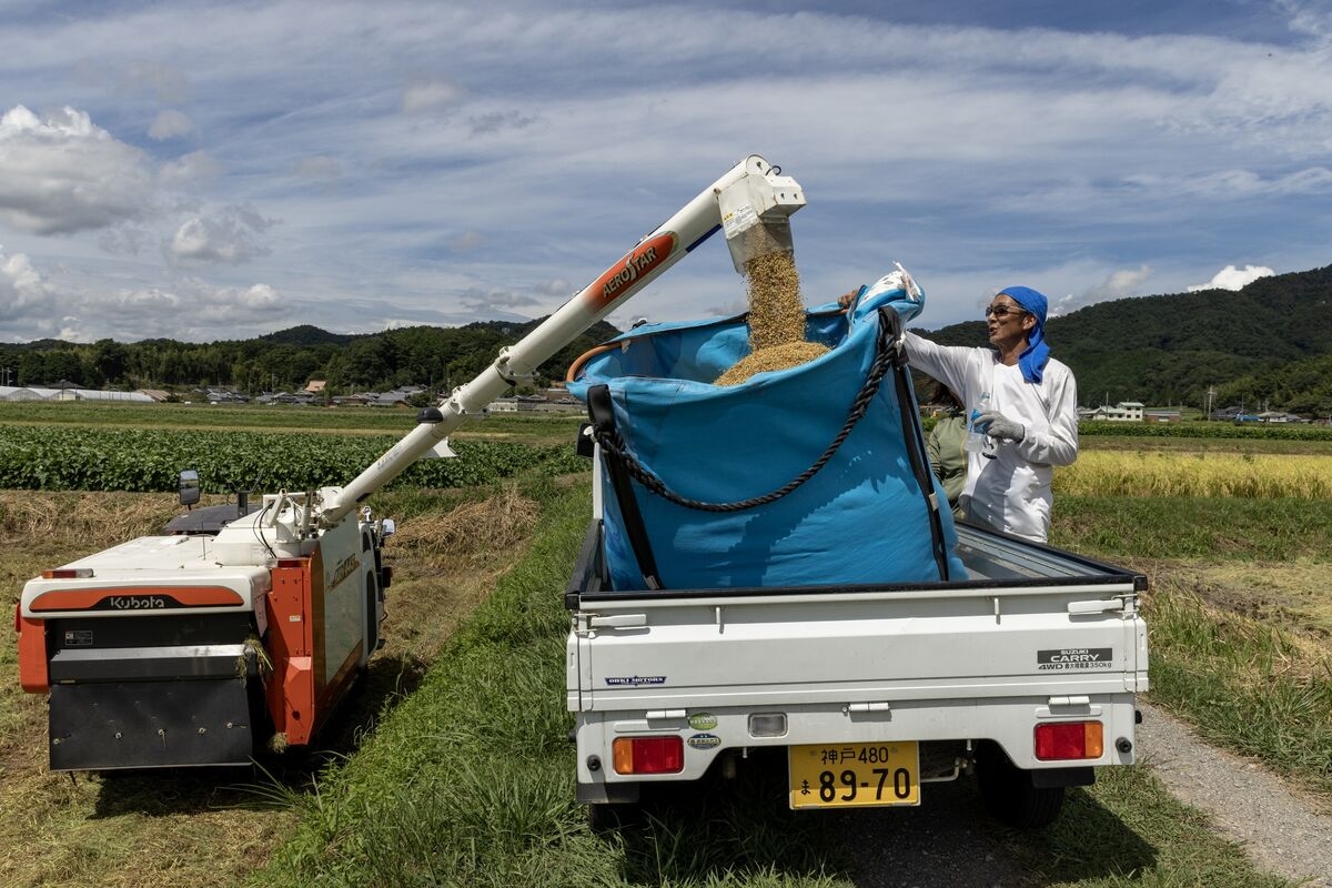 Trump Threatens to Impose Tariff on Japan, Citing Rice Exports