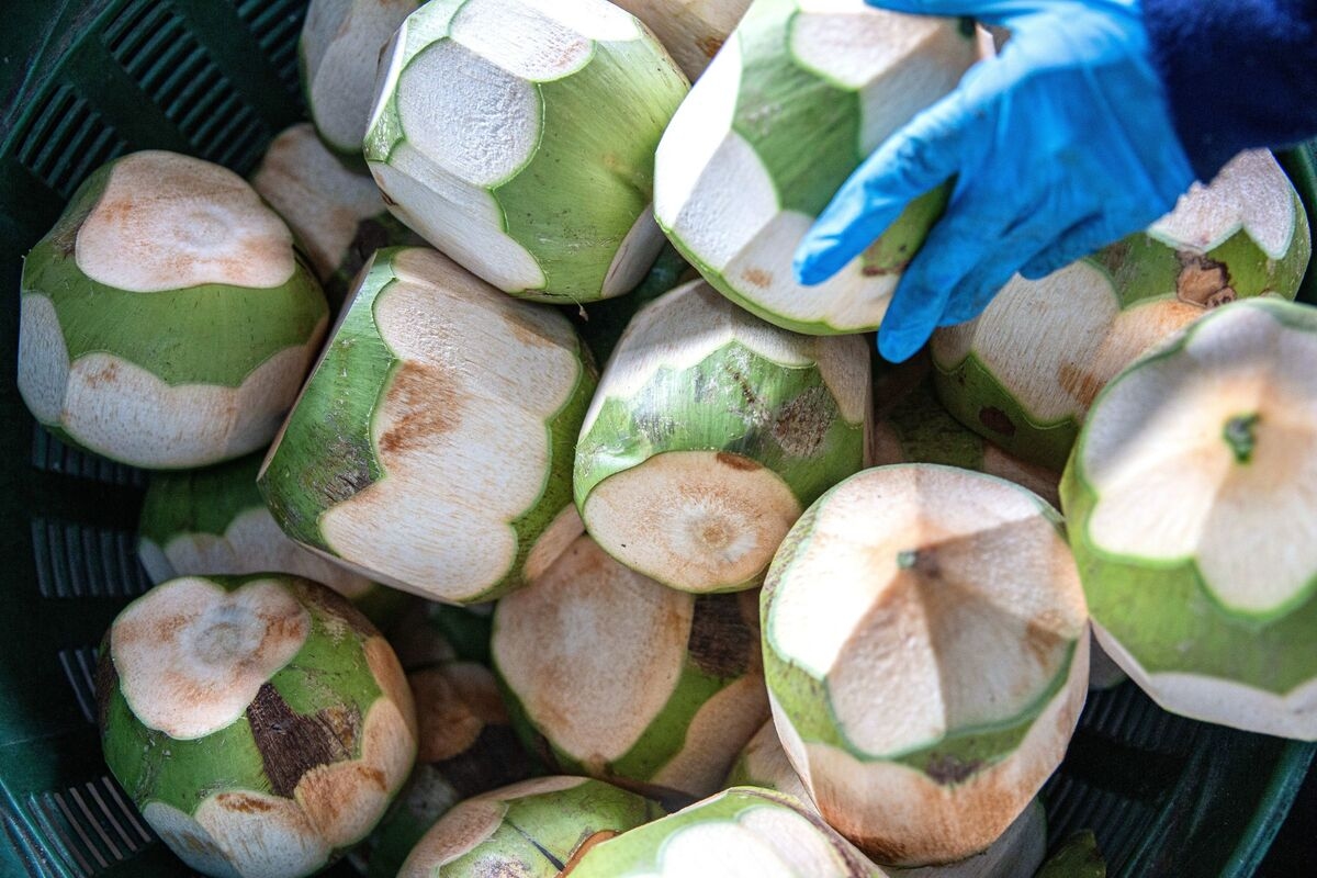 Thai Coconut Water Maker IFBH's Shares Jump in Hong Kong Debut