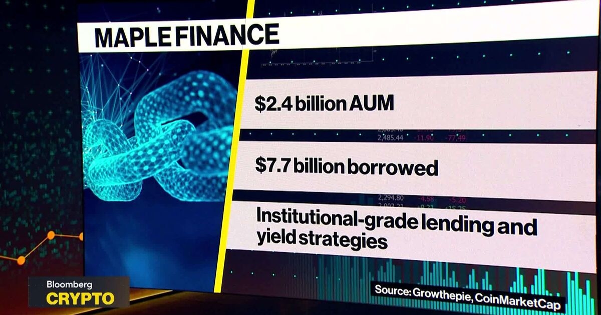 Interested In Bitcoin Backed Lending: Maple Finance CEO