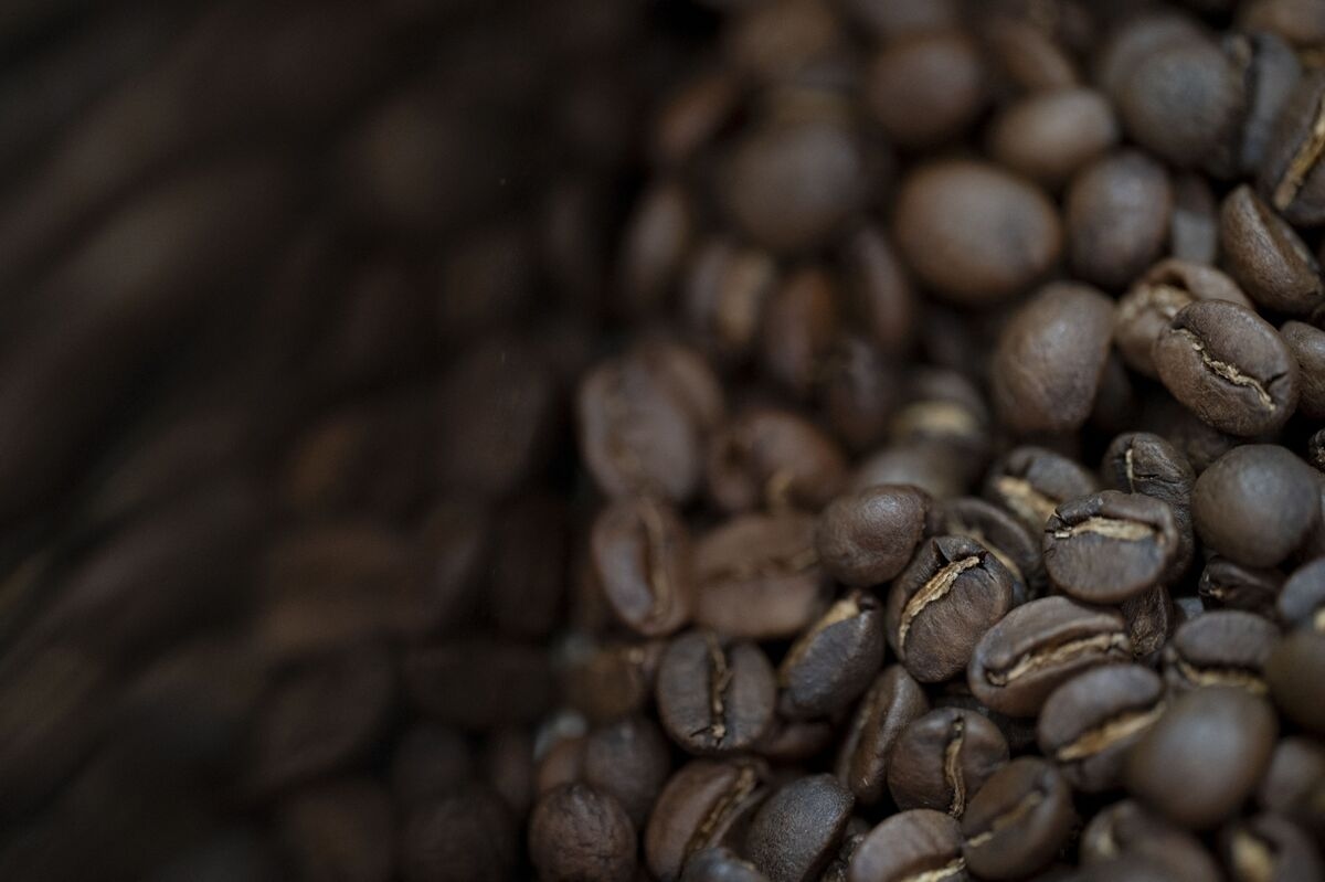 Coffee Falls to November Low as Dry Weather Accelerates Harvest